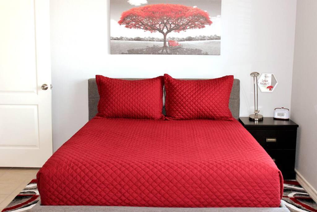 Spacious Home, Short Walk To Beach, Heated Pool! Corpus Christi Buitenkant foto